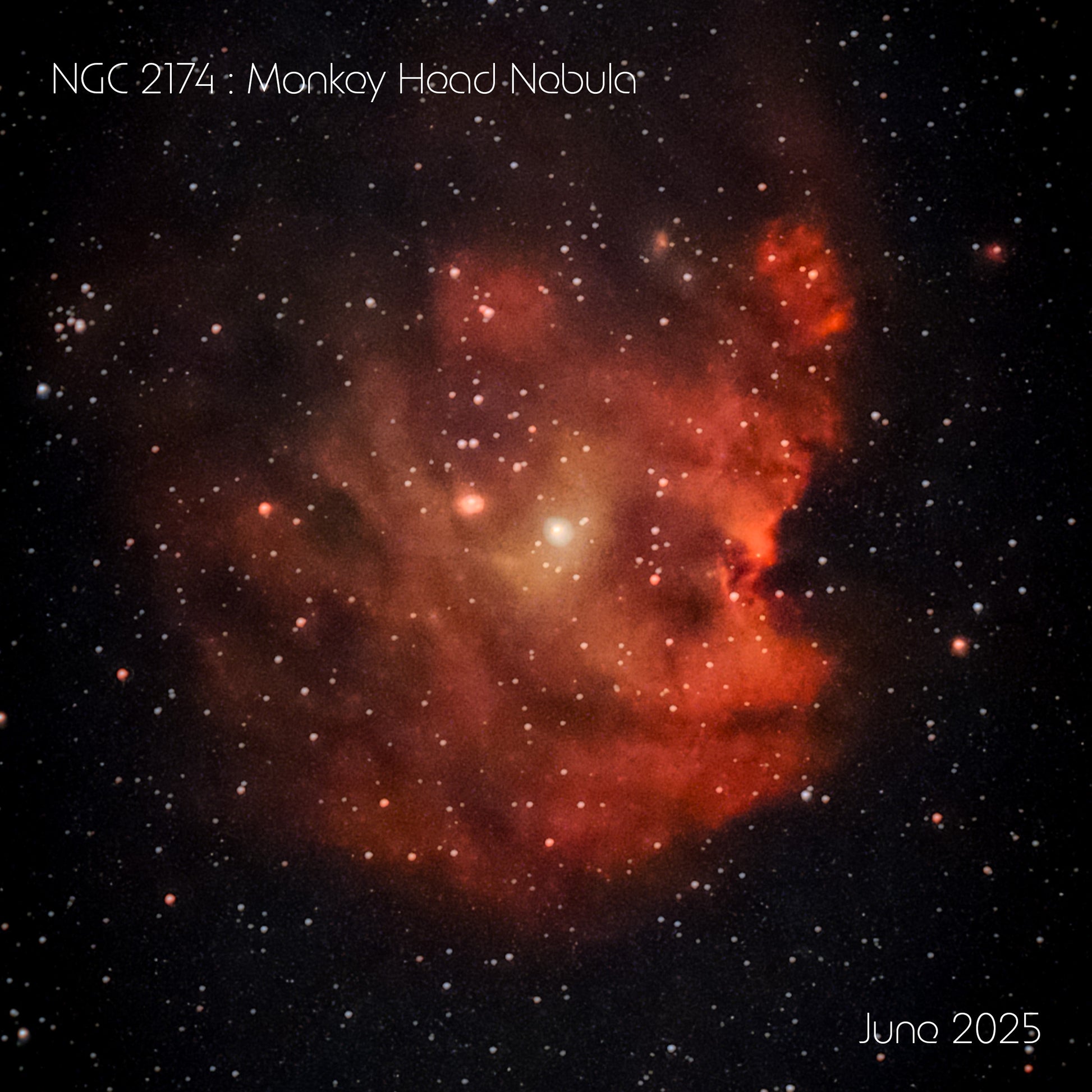 Monkey head nebular