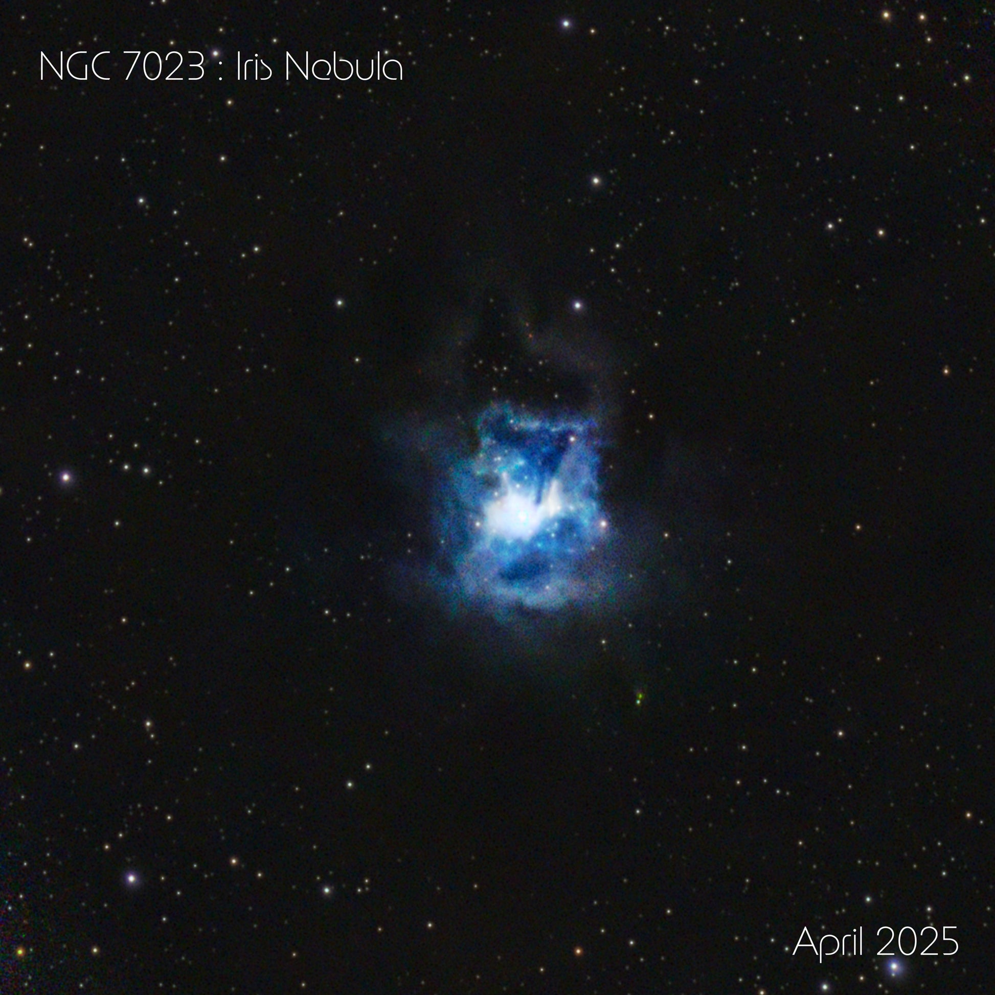 Iris nebular